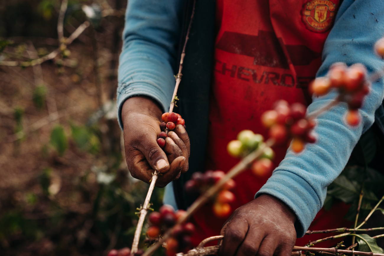 Kaffeetransport — Eine lange Reise von Zuhause Coffee Circle
