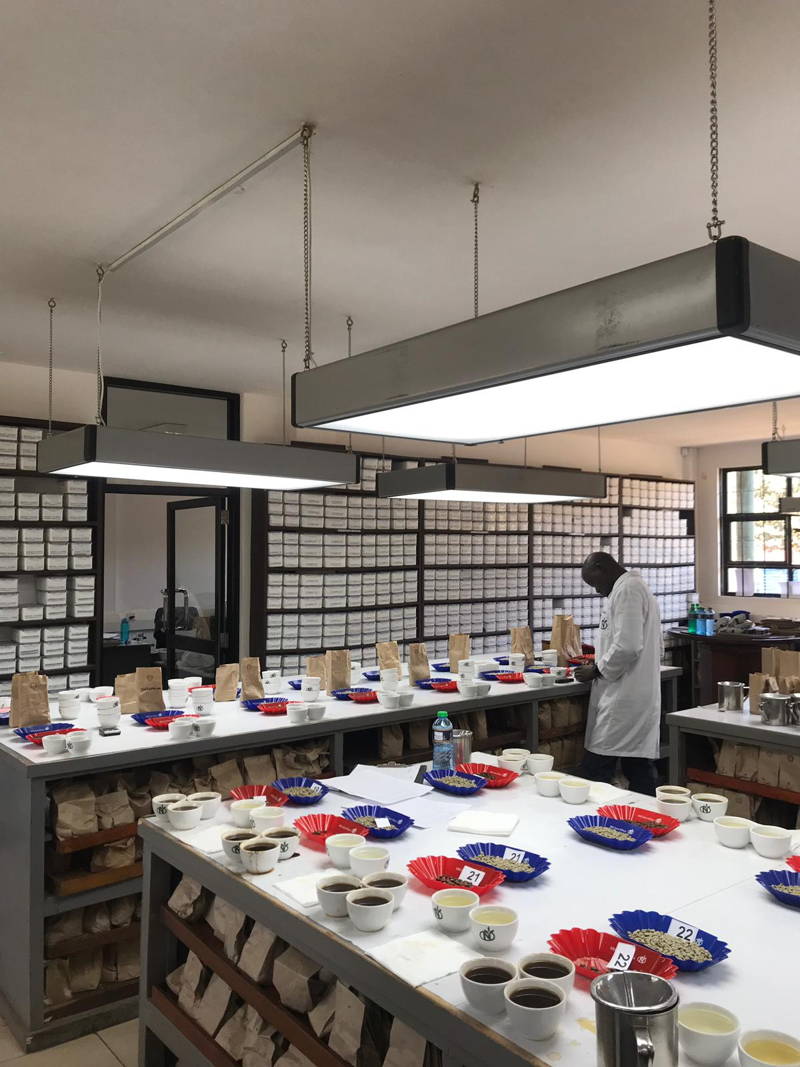 Coffee Cupping in the Rungeto Cooperative