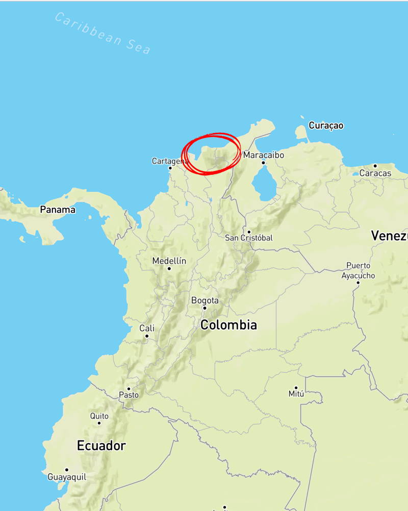 Hier kommen die Kaffeebohnen her