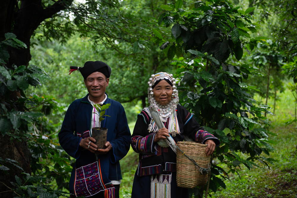 Jadae Myanmar Kaffee