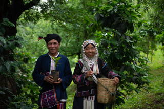 Jadae Myanmar Kaffee