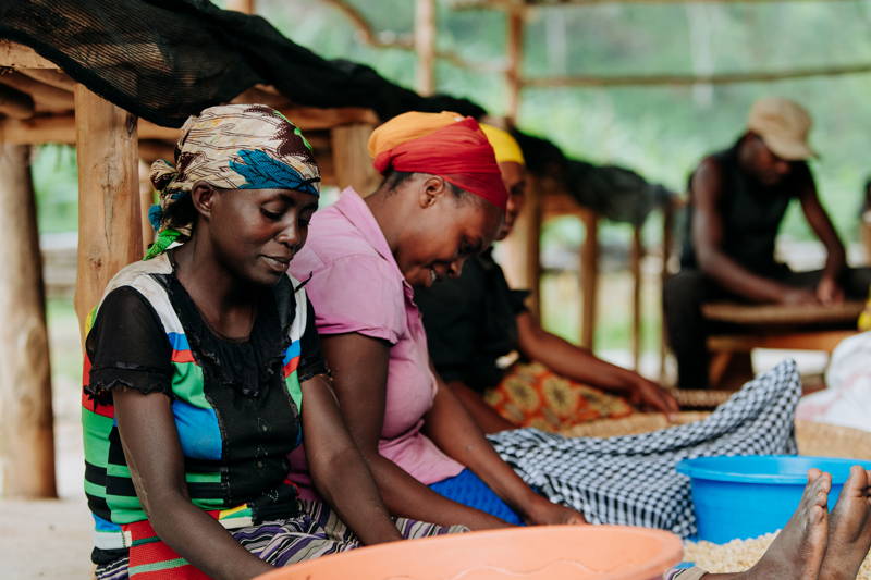 Farmer:innen der Vunga CWS, Muraho Co., Ruanda