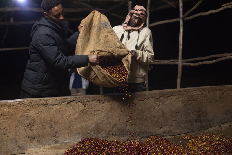 Kaffeeproduzent:innen Äthiopien 2024
