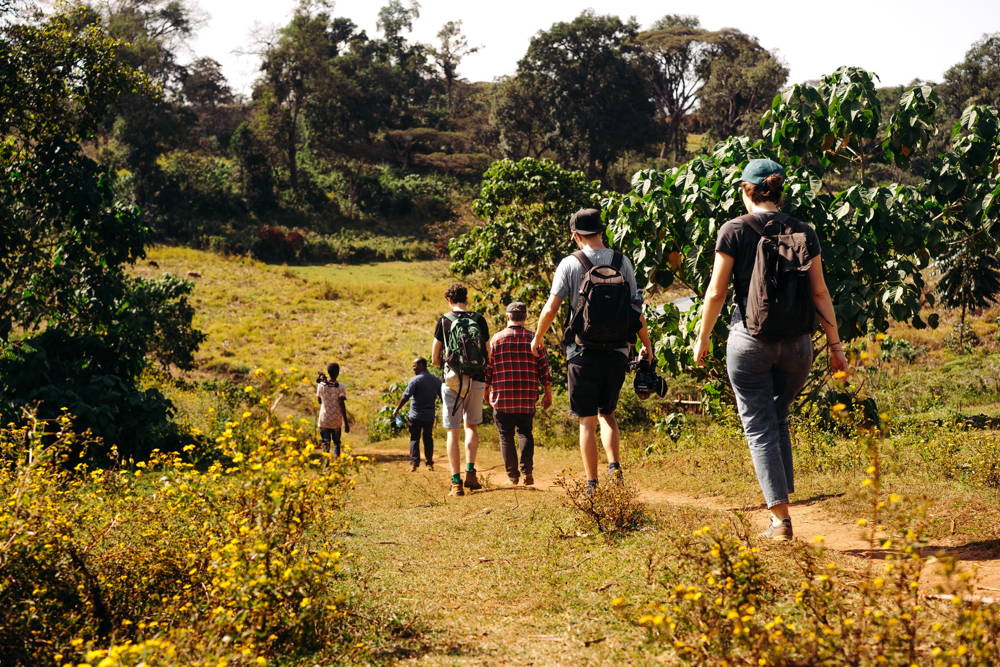 Wanderung Auf dem Weg