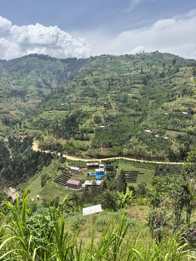 Washing Station von Muraho in Ruanda