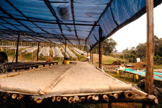 Abdeckungen über den Drying Beds Wetterschutz