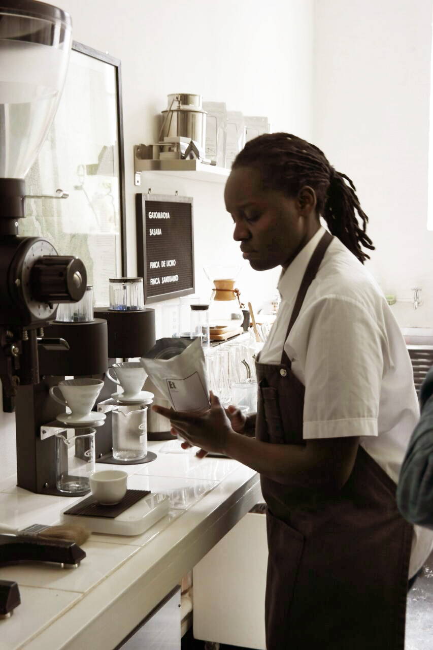 Espresso Lab Microroasters