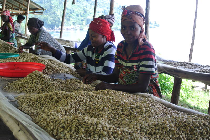 Kaffeefarmer:innen von RWH