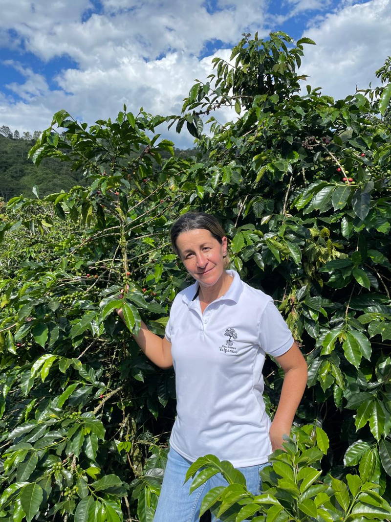 Martha Cecilia Álvarez steht vor Kaffeepflanzen, Finca Cafetera Valparaíso, La Vega, Kolumbien