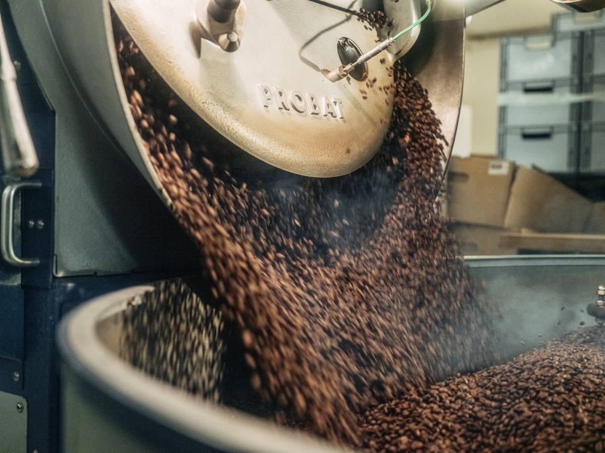 Bohnen nach der Röstung in der Rösterei