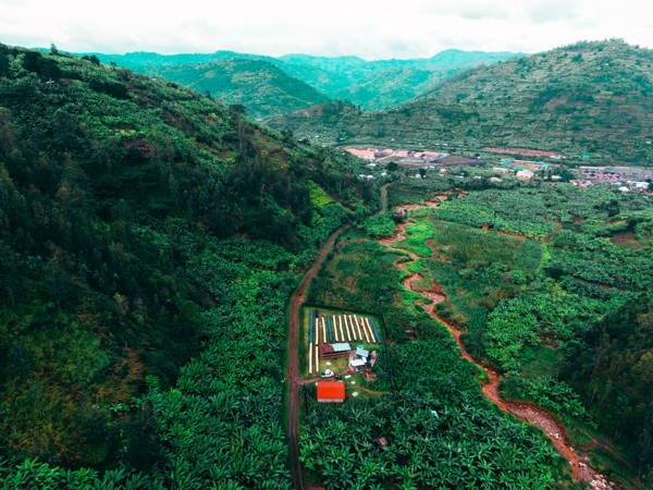Vunga CWS, Muraho Co., Ruanda