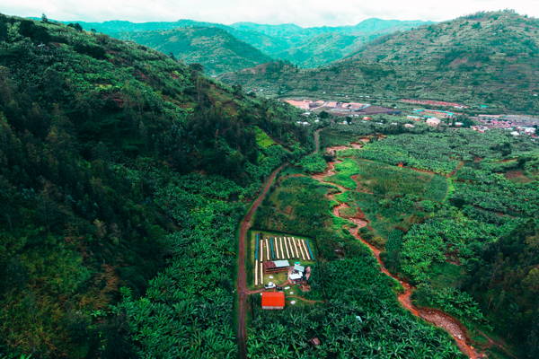Vunga CWS, Muraho Co., Rwanda