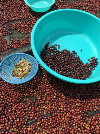 Origin Trip 2019: Coffee Circle in Äthiopien