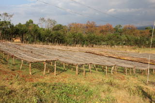 Drying Beds in der Kooperative Negele Gorbitu Reise nach Äthiopien