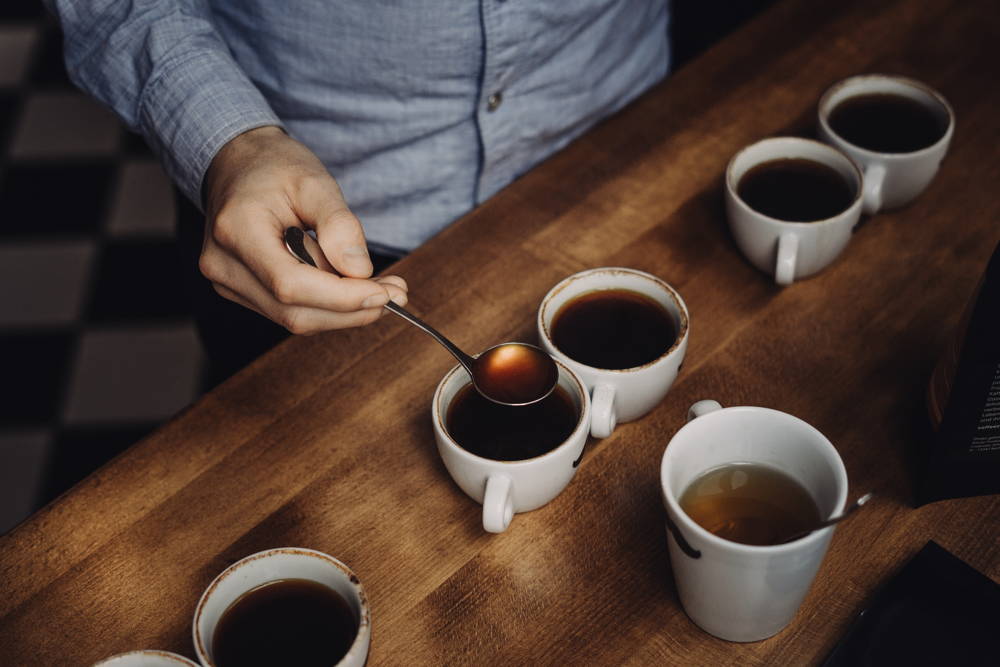 Beim professionellen Cupping Kaffees im Vergleich