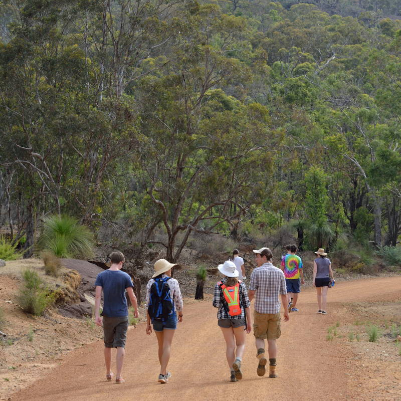 Coffeeguide Australien