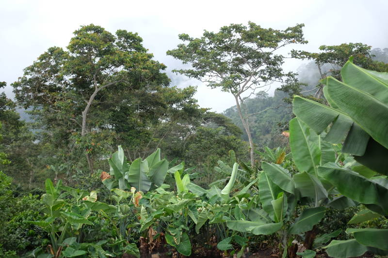 Besuch der Kooperativen