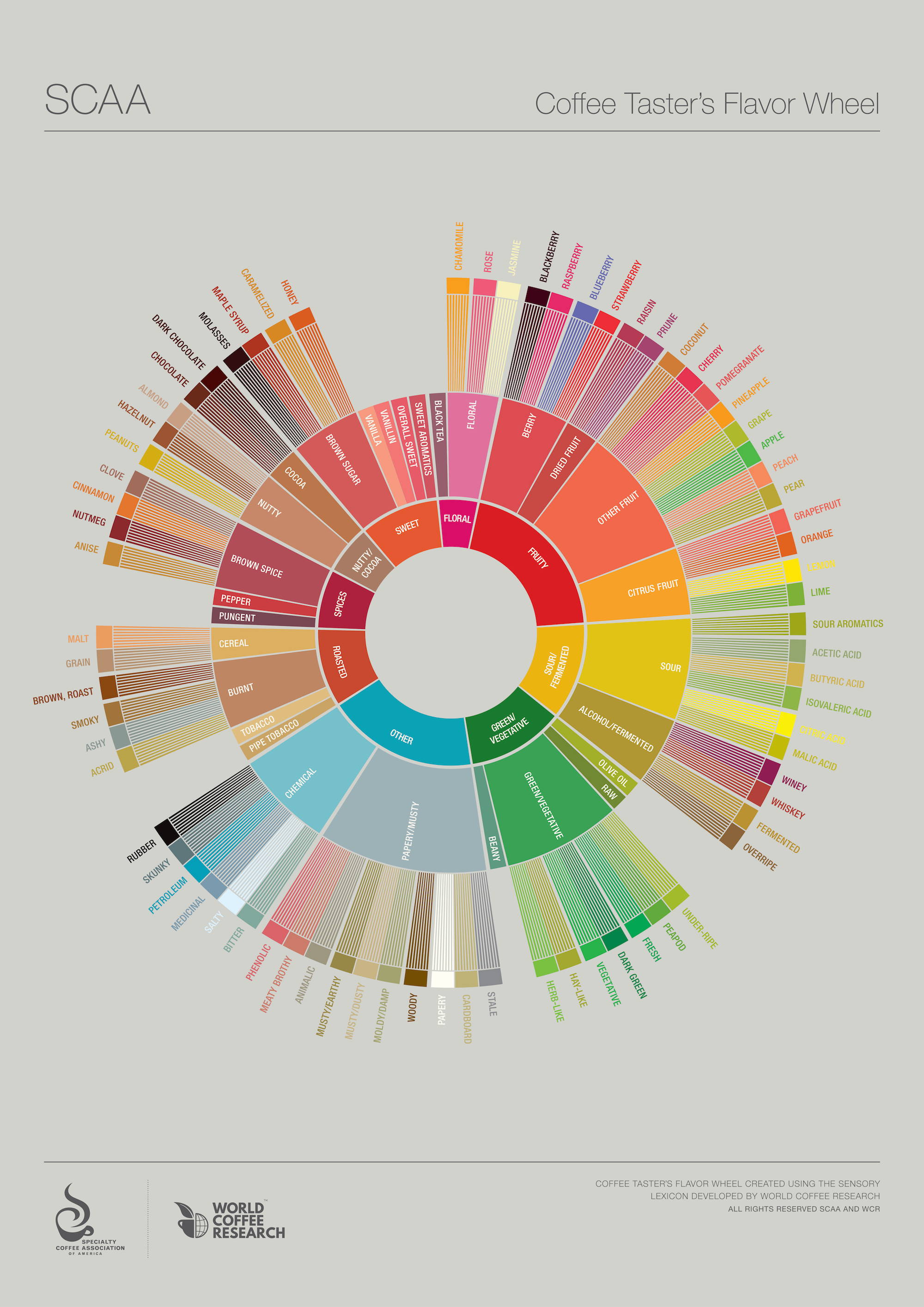 Flavour Wheel der SCAA