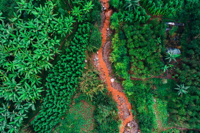 Dronen Shot der Vunga CWS, Muraho Co., Ruanda aus der Vogelperspektive