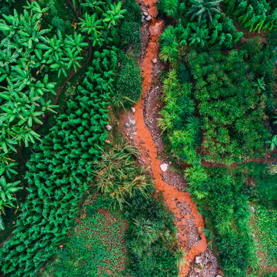 Dronen Shot der Vunga CWS, Muraho Co., Ruanda aus der Vogelperspektive
