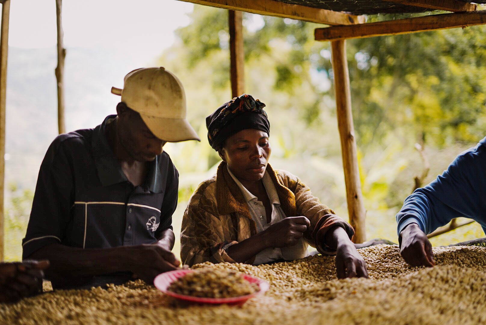 During our trip thorugh D.R. Congo, 2018