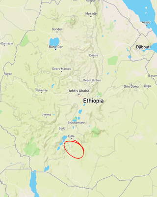 Coffee Map Sidamo Hier kommen die Kaffeebohnen her