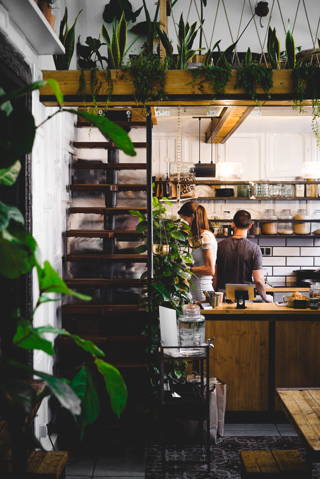 Wir stellen vor: The Greens – Coffee & Plants Wir stellen vor: The Greens – Coffee & Plants