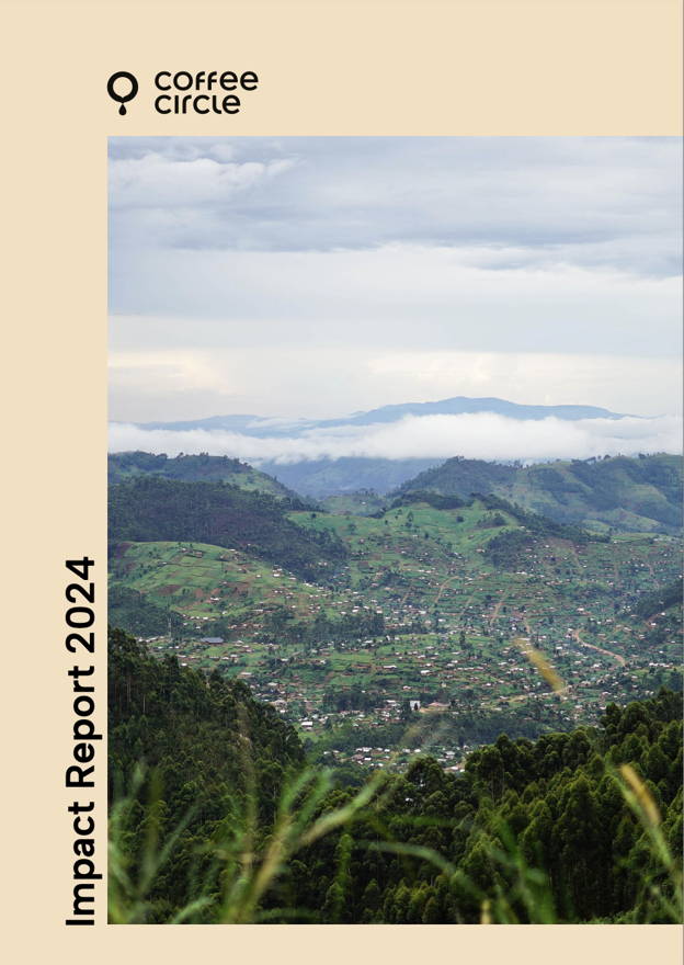 Screenshot, first page of the Impact Report 2024