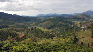 coffeecircle-vibrant-brazil-kaffeefarmer-jatoba-12.jpeg