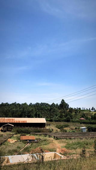 coffee-circle-kenia-7.JPG View on the farmlands