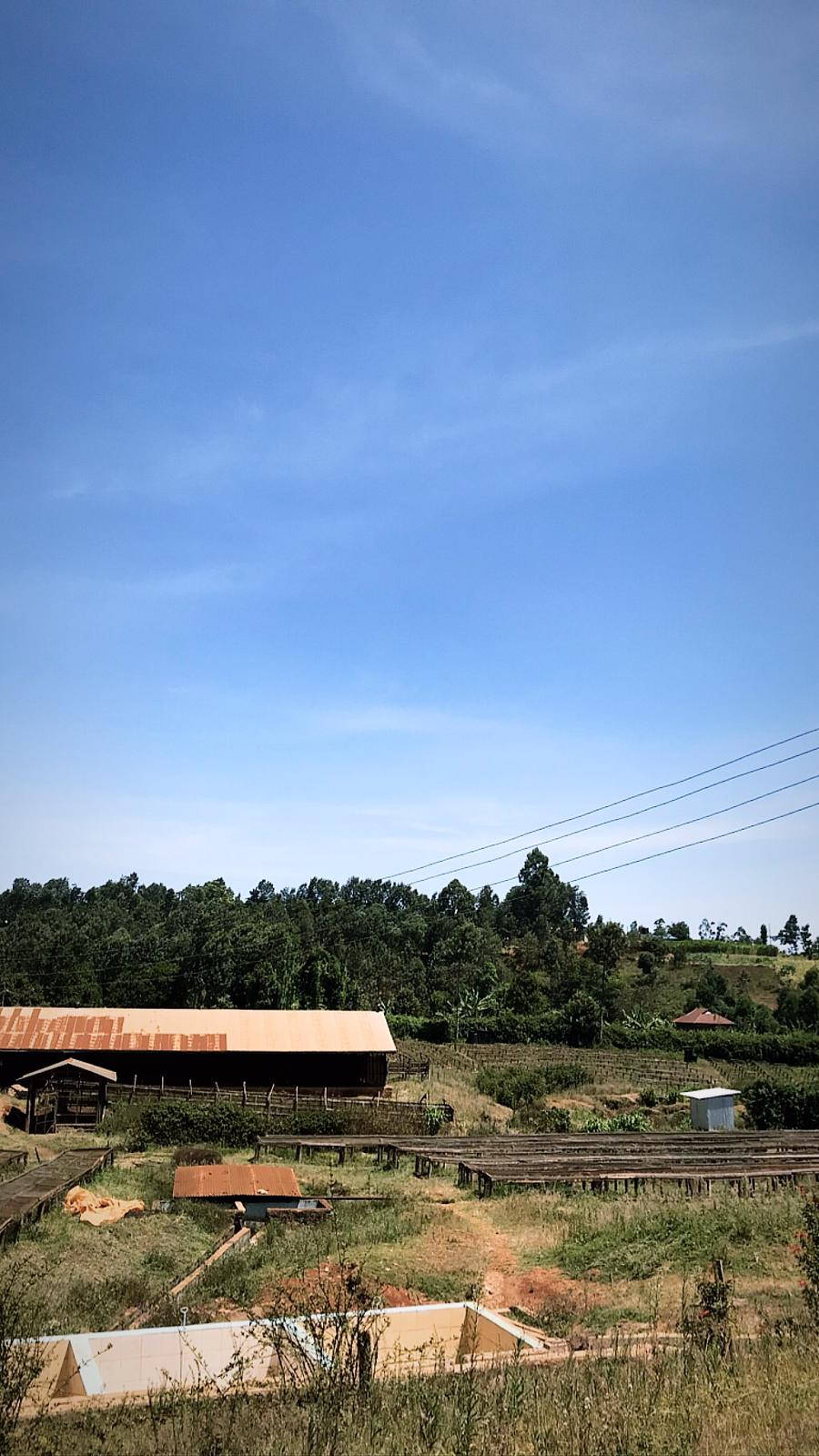 View on the farmlands