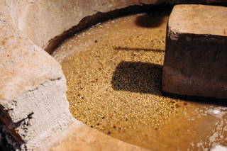 In der Kooperative Sediloya Beim Waschen des Kaffees