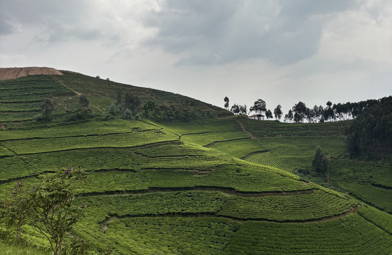 ethiopia-und-rwanda-2026