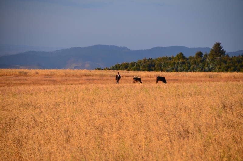Coffee Circle reist nach Äthiopien