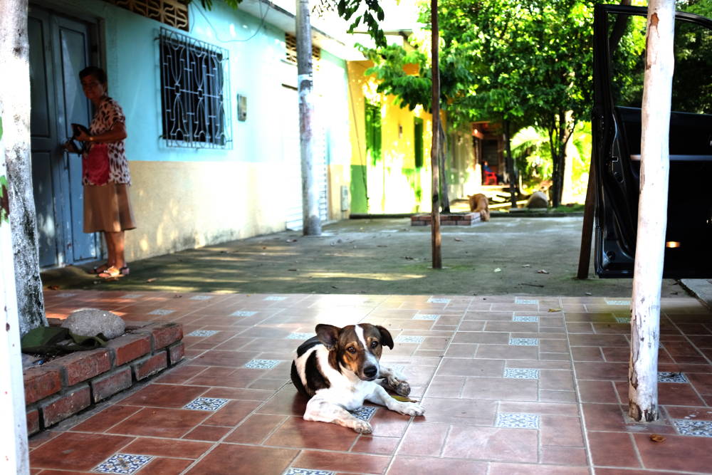 Im Kaffeeland Kolumbien