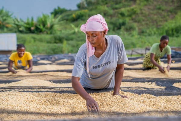 Kaffeefarmer:innen von RWH