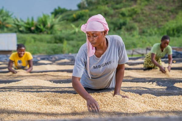 Kaffeefarmer:innen von RWH
