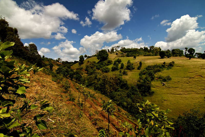 Die Kaffee-Kooperativen unserer Kaffees sind nicht immer leicht zu erreichen und liegen in mitten wunderschöner Natur.