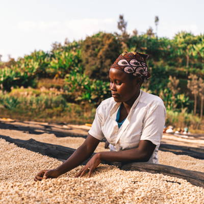 Kaffeefarmer:innen, Muraho Trading, Rugali CWS