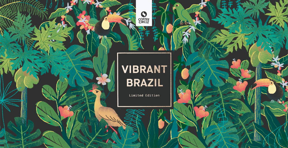 Vibrant Brazil