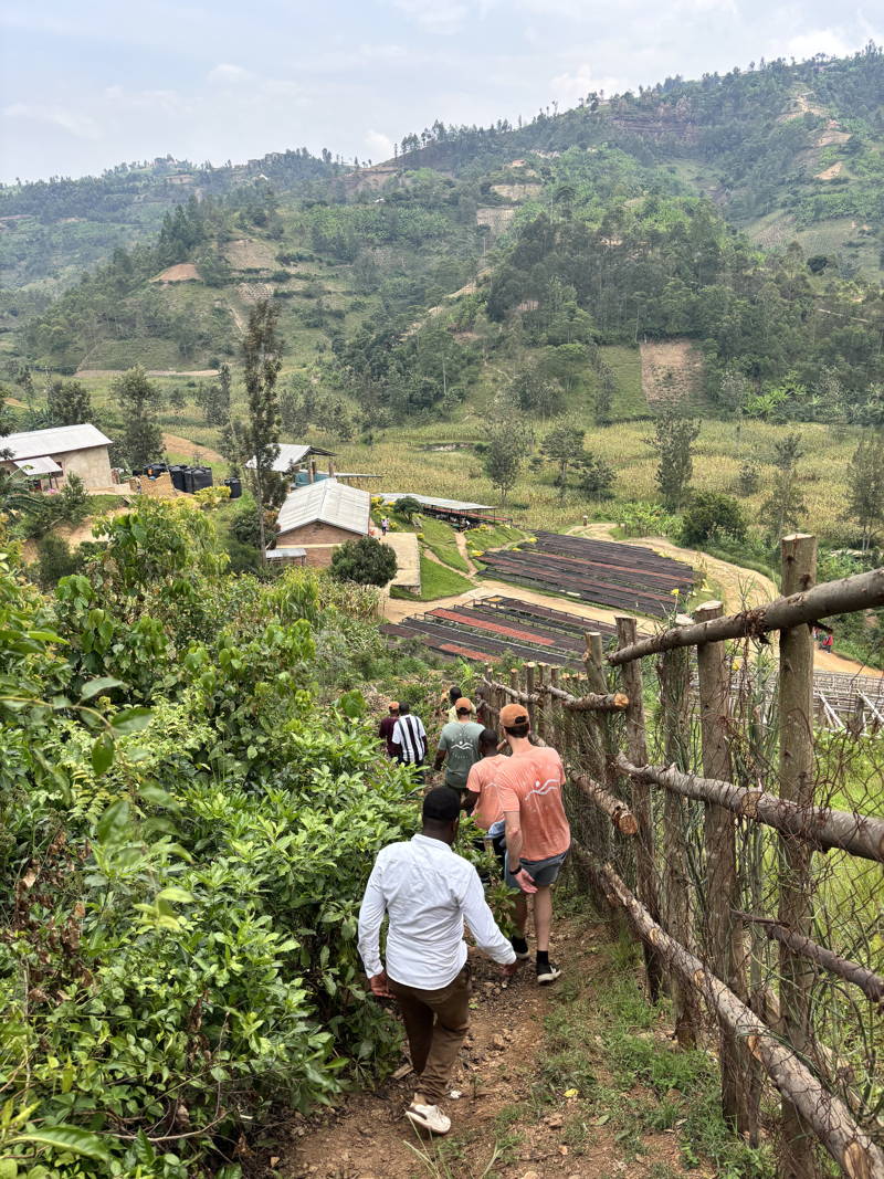 Martin und Hannes mit Partner:innen zwischen Kaffeepflanzen