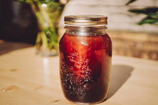 Cold-Brew-Season-2019-19