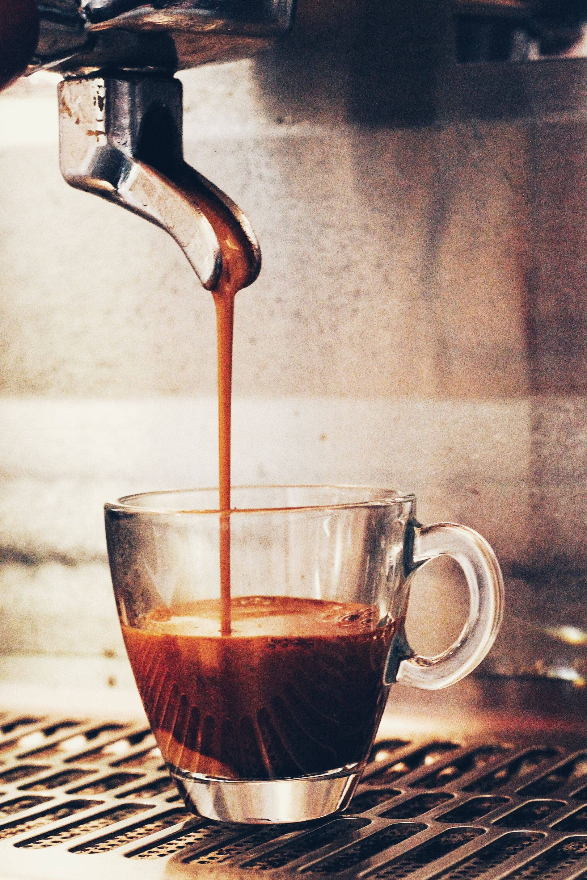 Coffee Guide Dresden