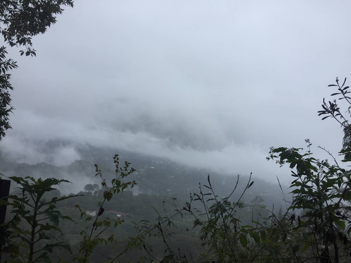 Guatemala Origin Guatemala Origin