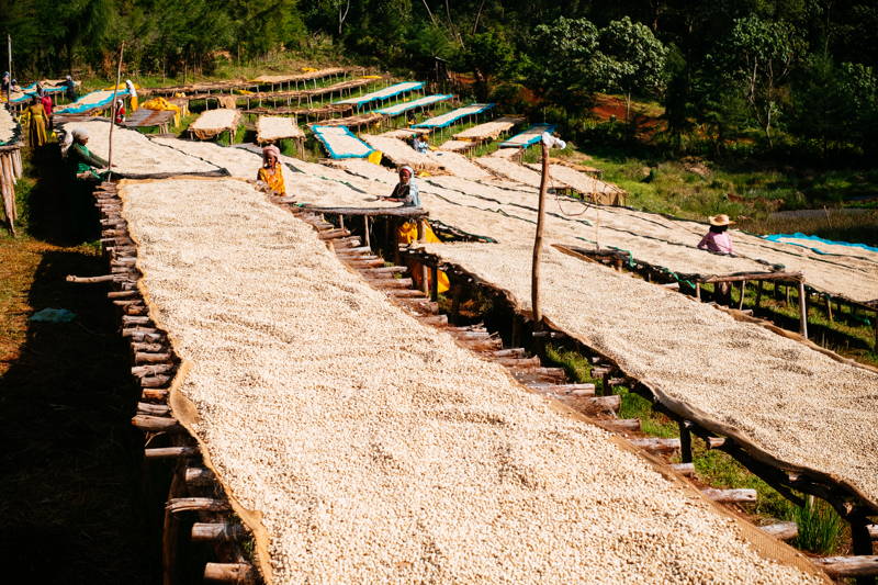 Die Drying Beds