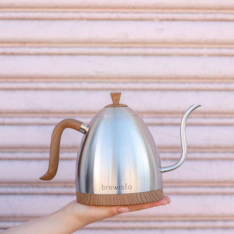 Brewista Artisan 1,0 L elektrischer Wasserkocher