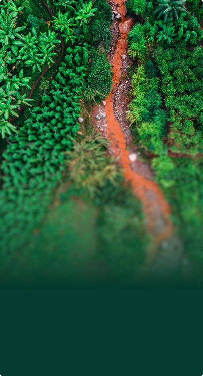 Ganz einfach Gutes tun