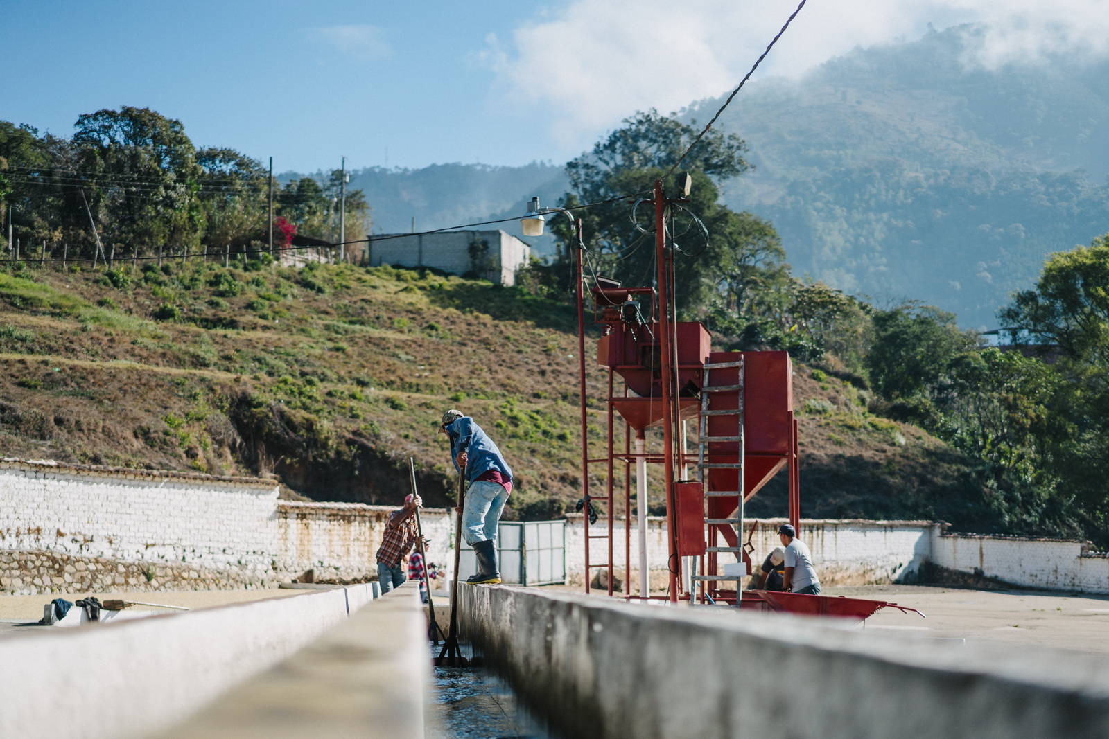 Guatemala Origin