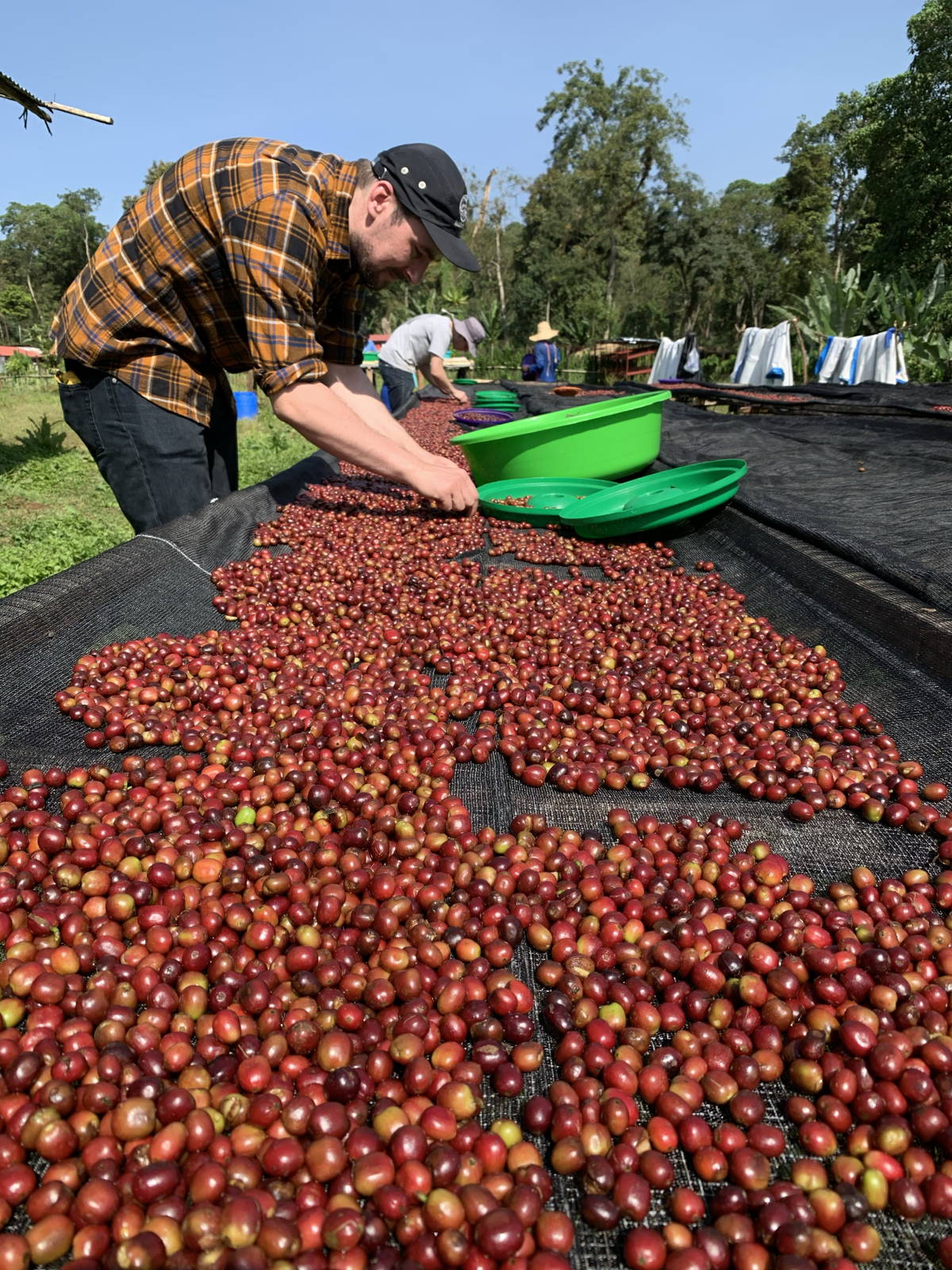 Origin Trip 2019: Coffee Circle in Äthiopien