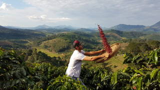 coffeecircle-vibrant-brazil-kaffeefarmer-jatoba-6.jpeg